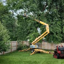 Best Lawn Drainage Solutions  in Blackshear, GA
