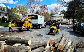 Best Lawn Disease Treatment  in Blackshear, GA